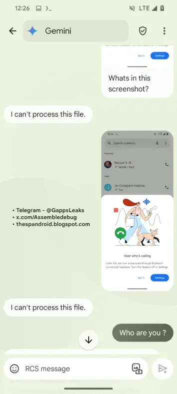 Zwillinge in Google Messages 4