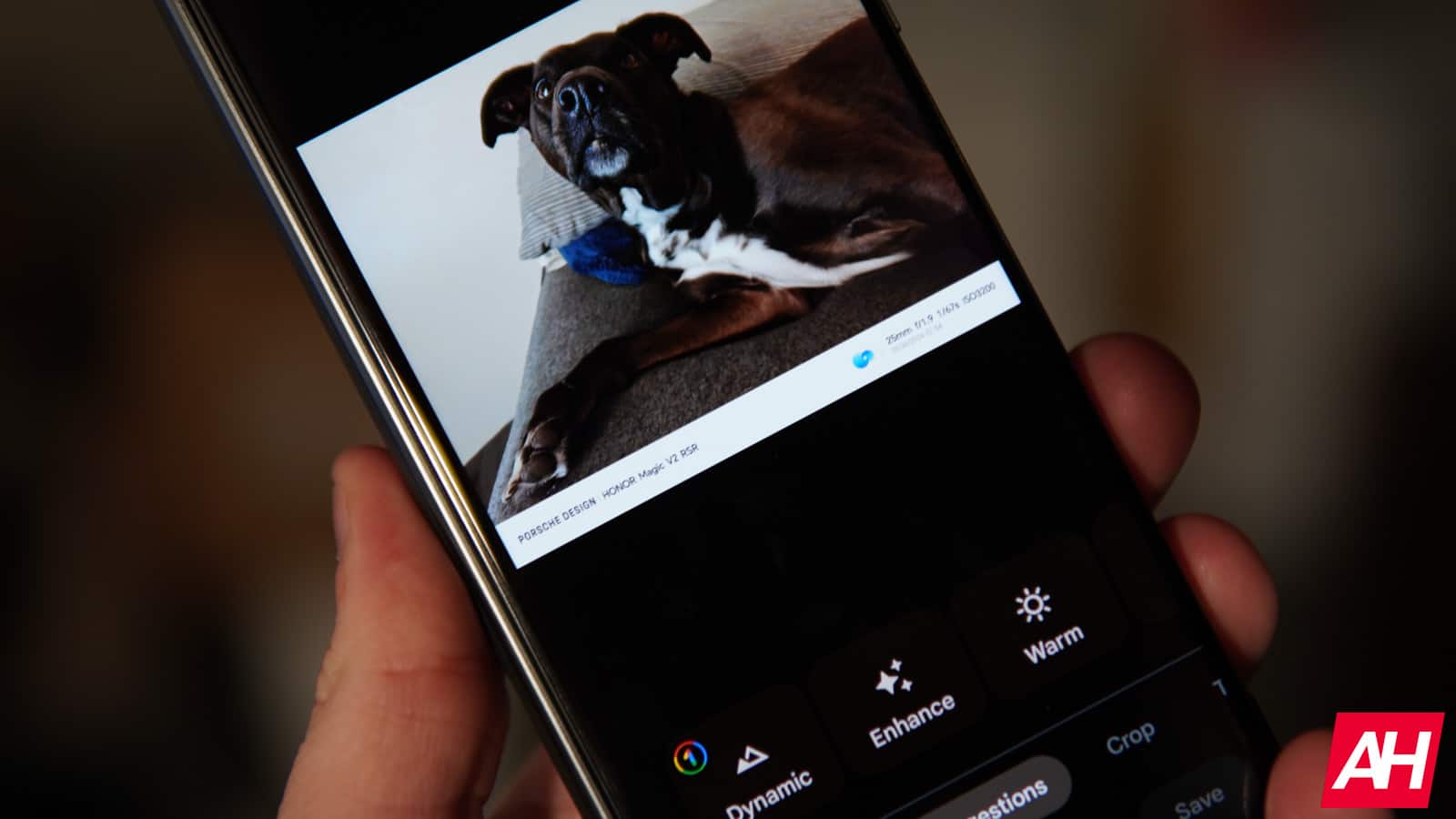 Featured image for Google Photos