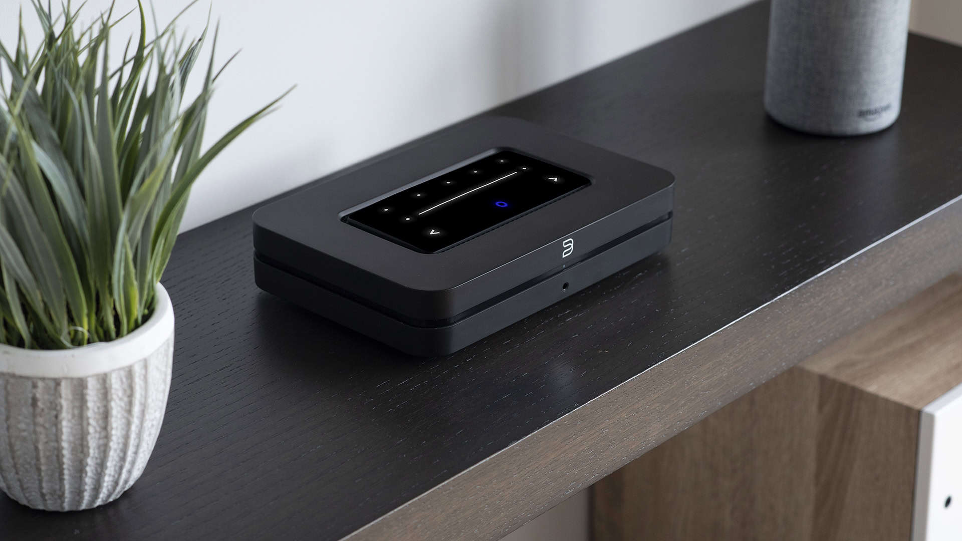 Dirac und Bluesound arbeiten zusammen, um Ihr Audio-Setup zu verbessern
