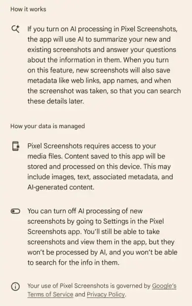Google AI (3)