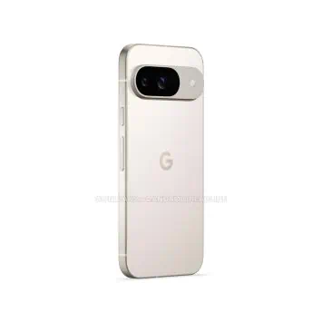 Pixel 9 Porzellan 3