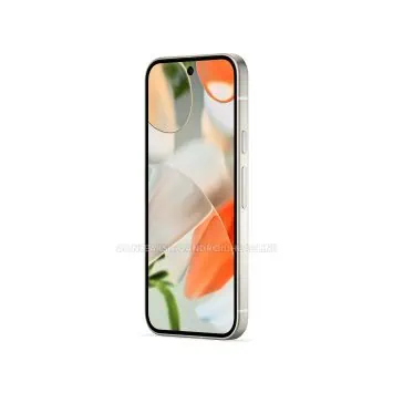 Pixel 9 Porzellan 4