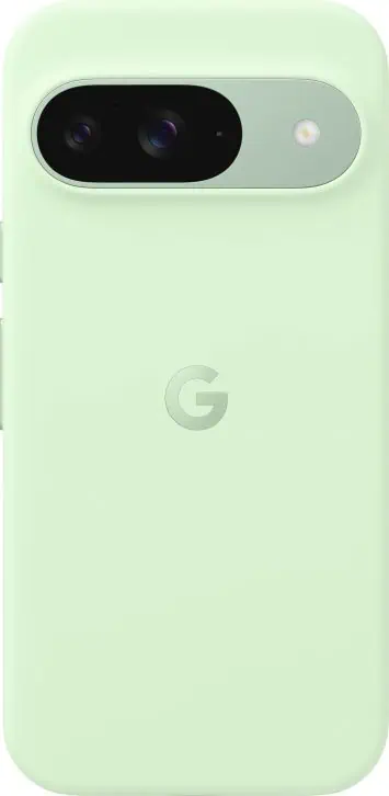 Google Pixel 9 in einer Hülle