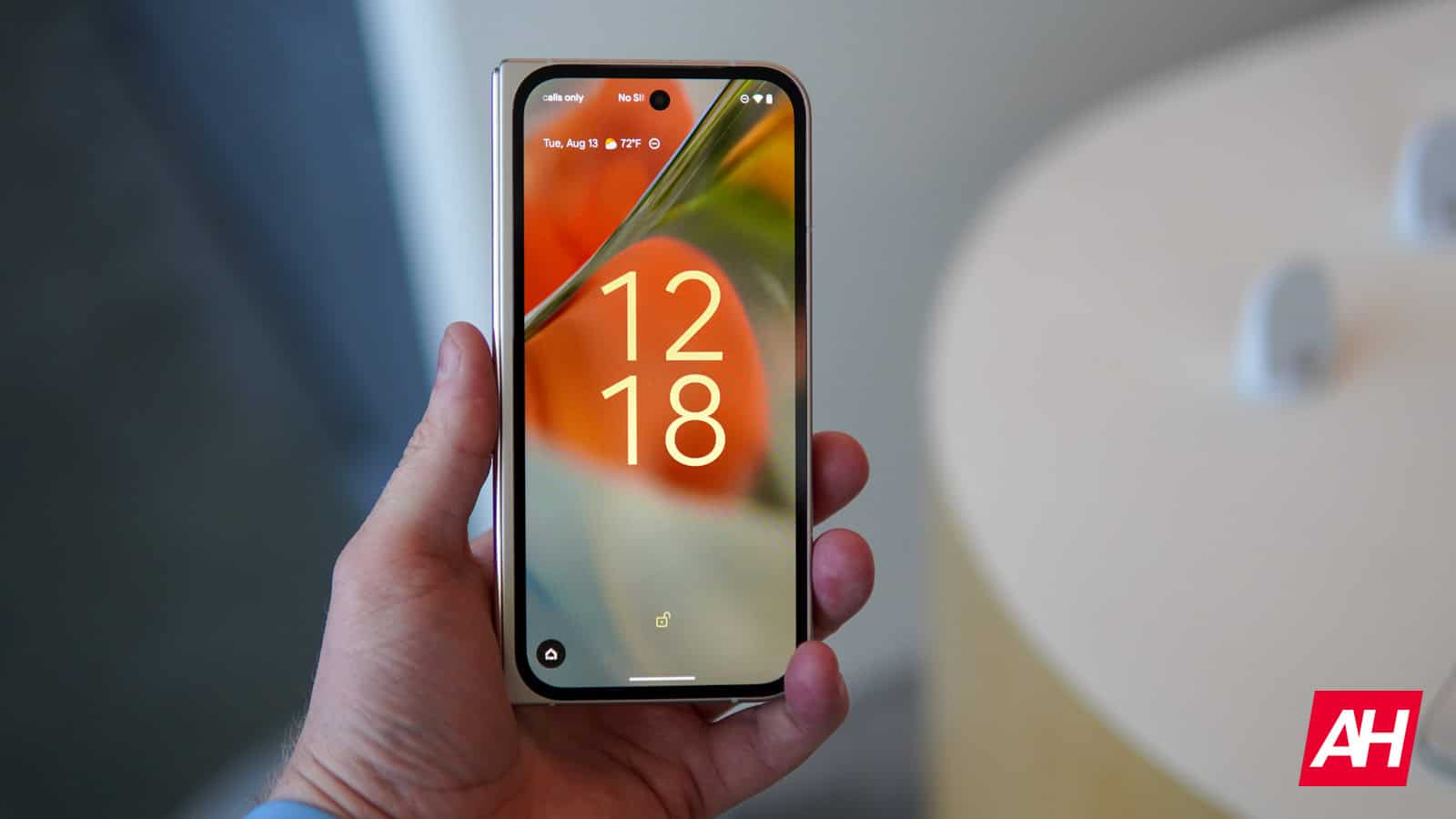 Der Google Store hat nur zwei Hüllen für Pixel 9 Pro Fold