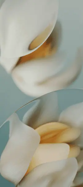 Google Pixel 9a-Hintergründe 5