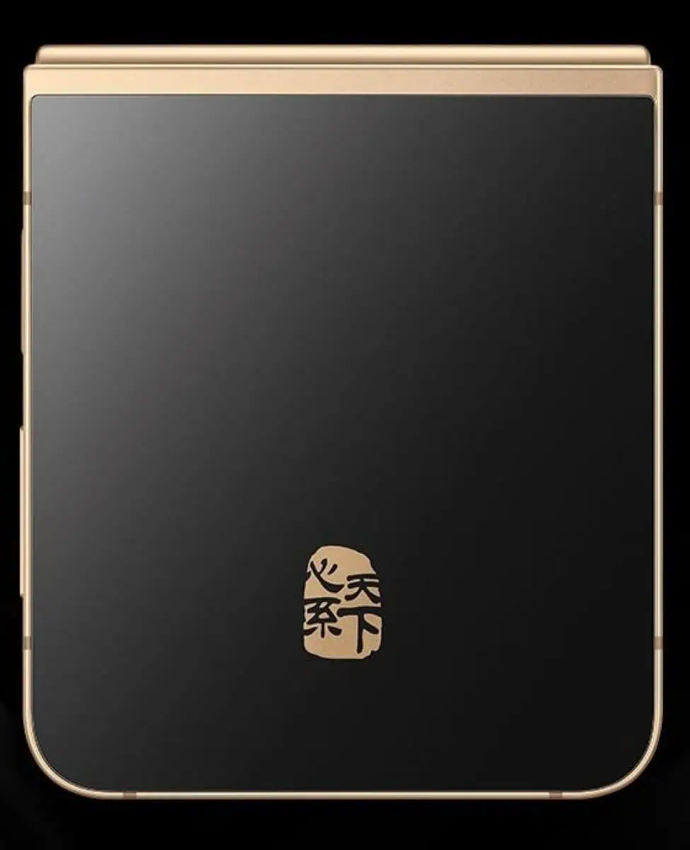 Samsung W25 Flip Bild 3