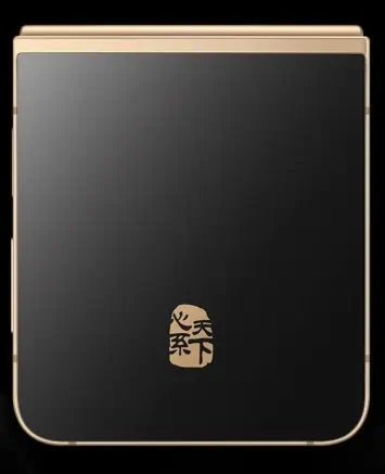 Samsung W25 Flip Bild 3