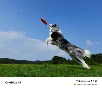 OnePlus 13 Fast-Shutter-Kamera, Beispiel 2