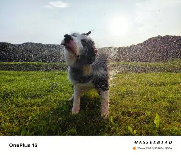 Beispiel einer OnePlus 13-Fast-Shutter-Kamera 1