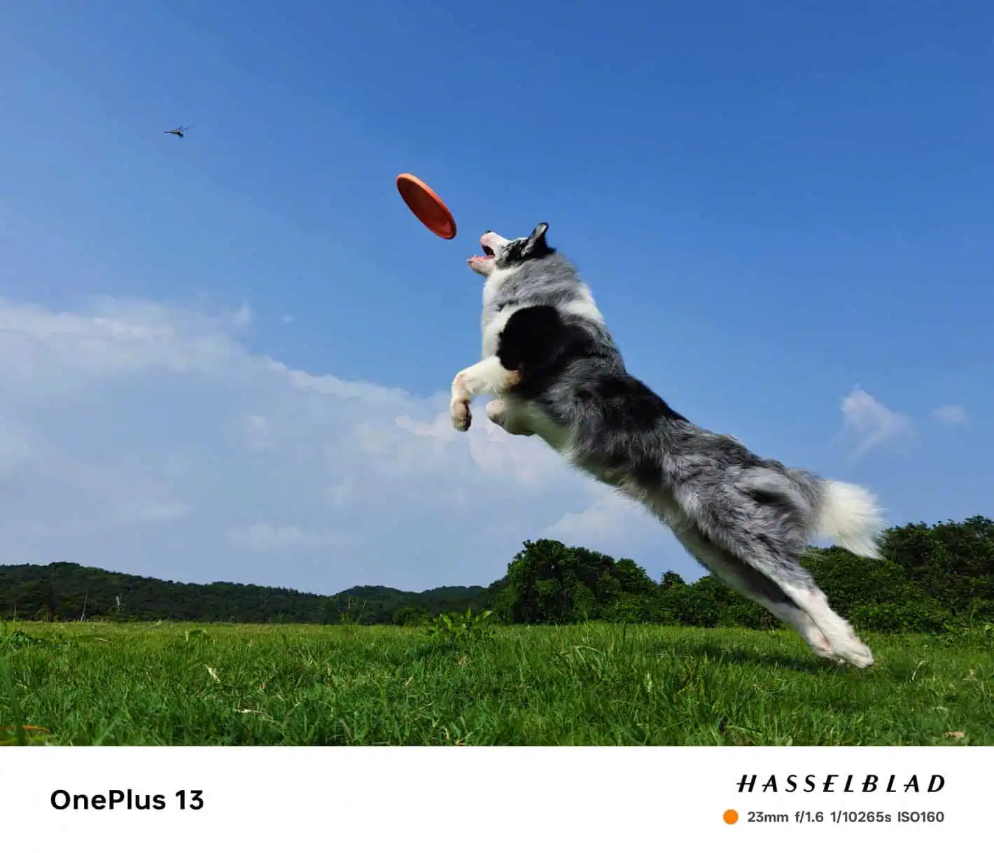 OnePlus 13 Fast-Shutter-Kamera, Beispiel 2