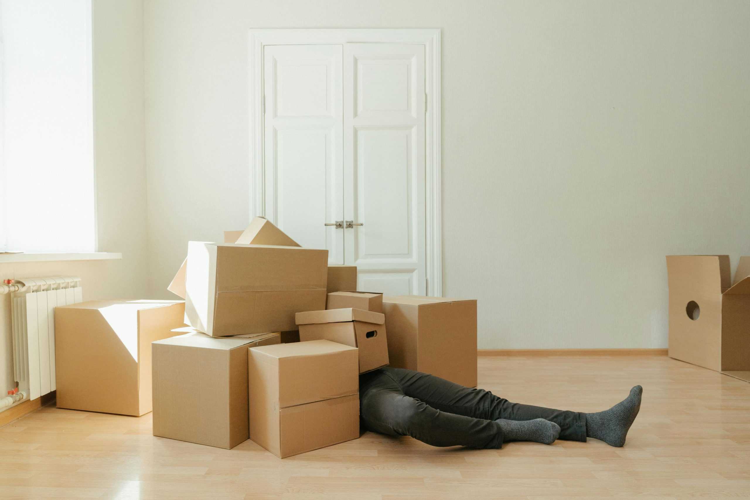 Paketchaos am Black Friday? So können Sie jede Bestellung in Echtzeit verfolgen