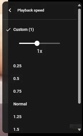 Benutzerdefinierte YouTube-Web-Wiedergabegeschwindigkeit 1