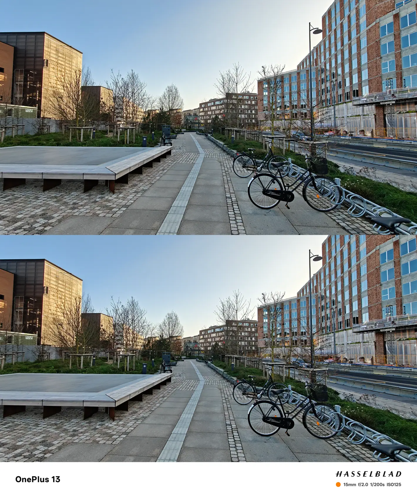 Pixel 9 Pro vs. Oneplus 13 2