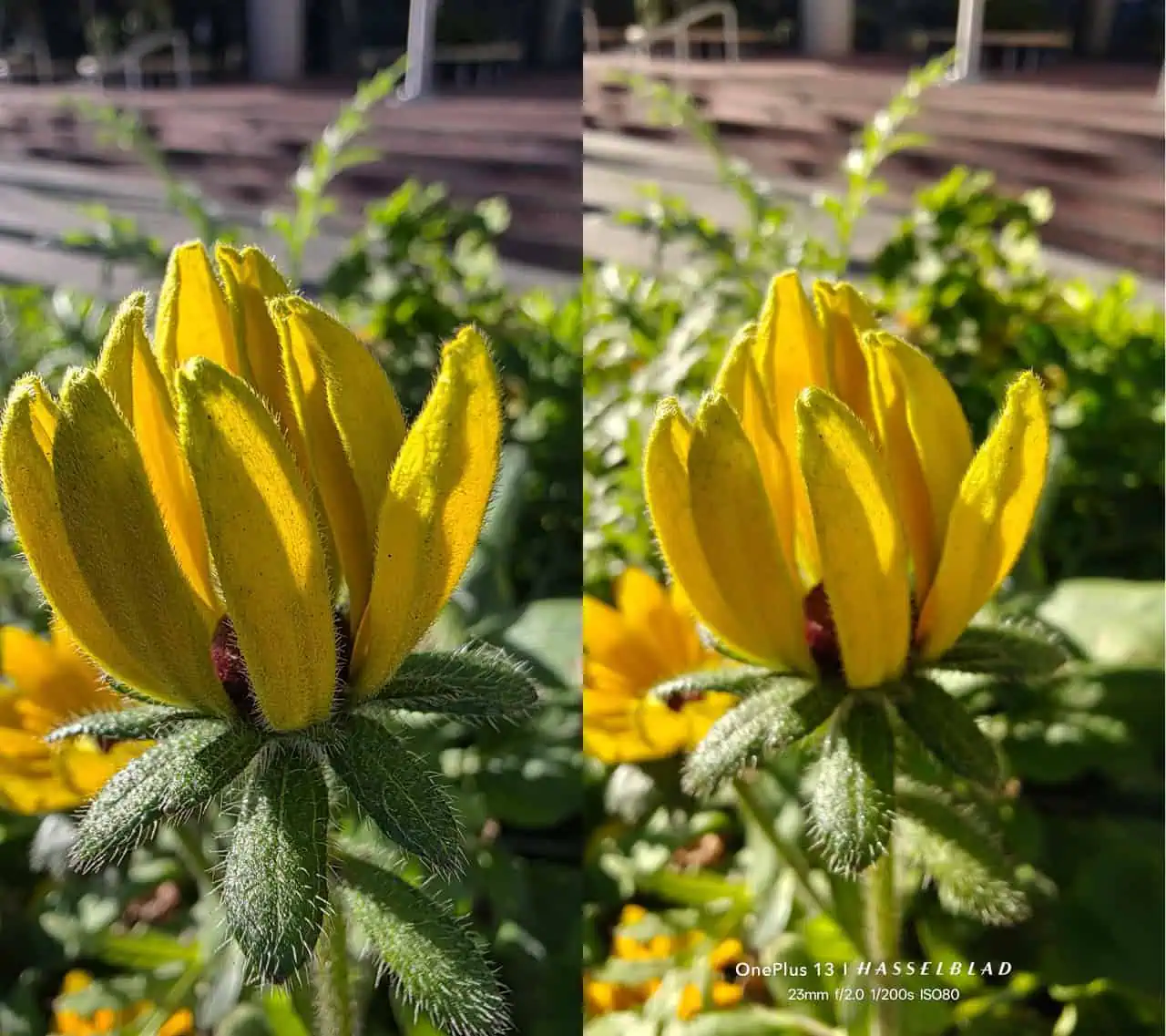 Galaxy S25 Ultra gegen OnePlus 13 17 groß