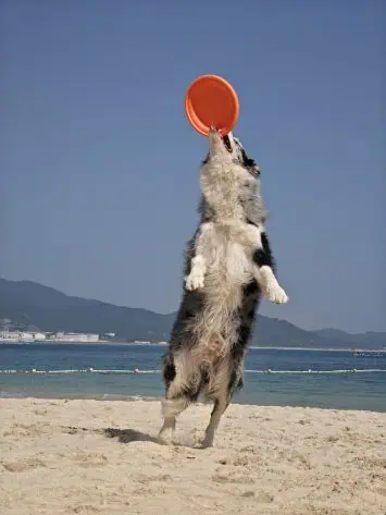 OPPO Finden Sie N5 Offizielle Kamera -Probe 2