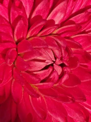 OPPO Finden Sie N5 Offizielle Kamera -Probe 3