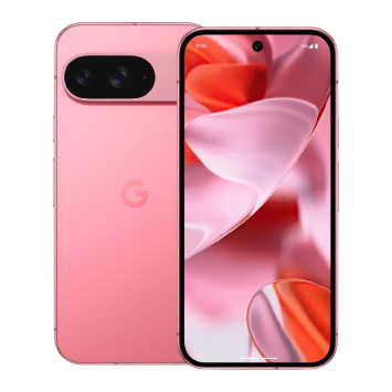 Google Pixel 9 Comp -Box