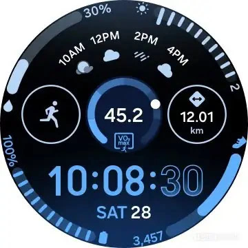 Galaxy Watch 8 Circle Info Face