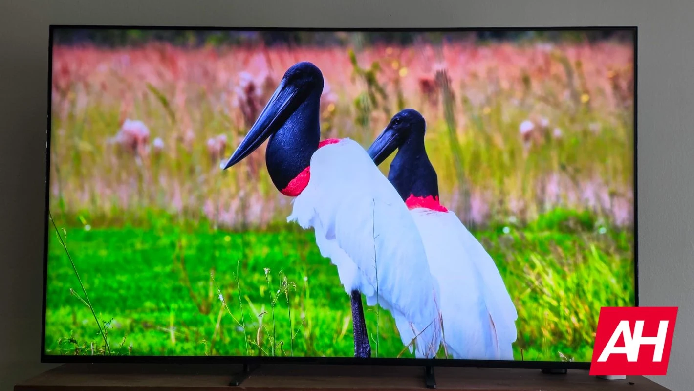 Sony Bravia 5 Ah 03
