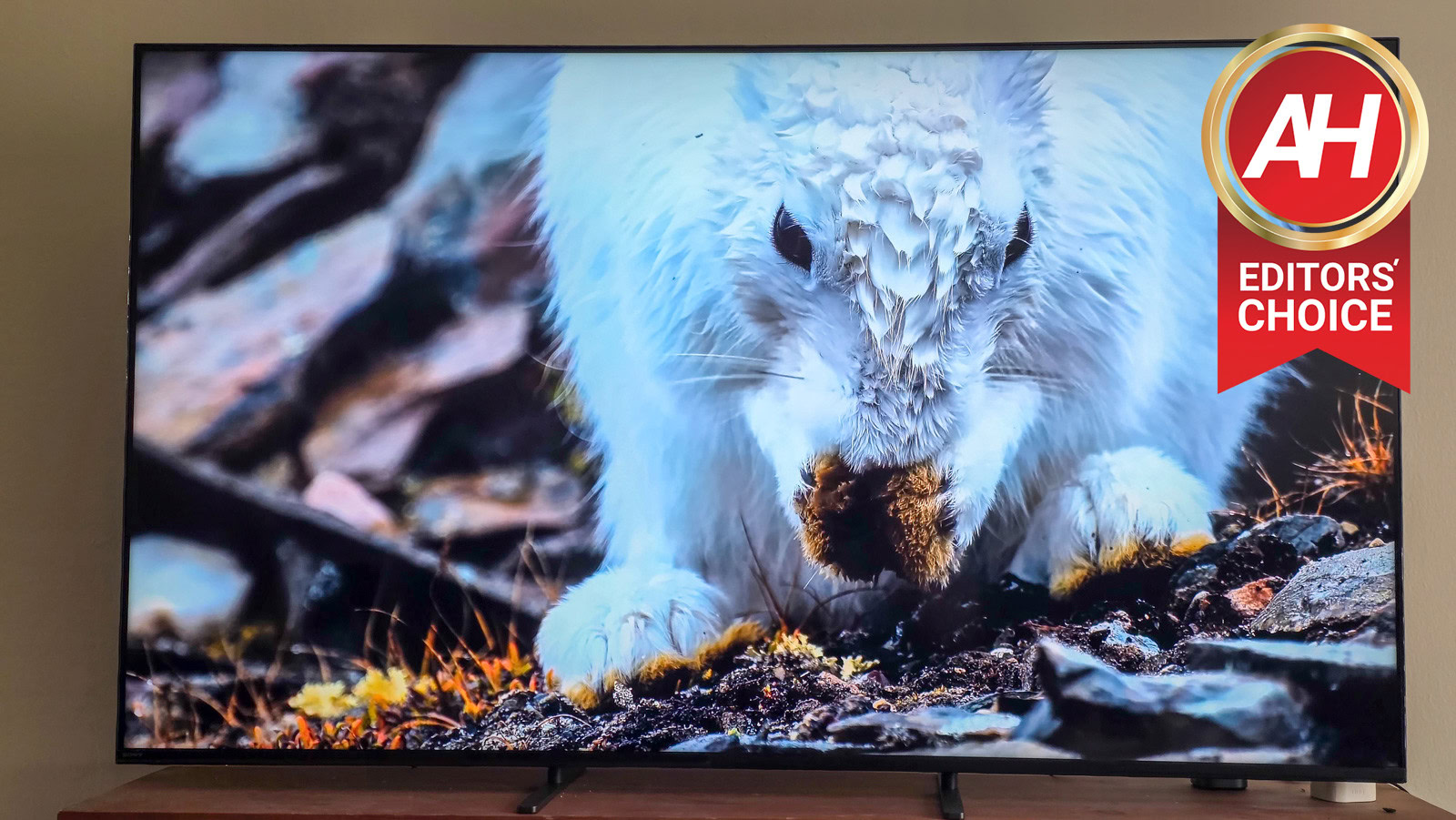 Sony Bravia 5 Ultimate Review: Ein solider Mittelklasse-Fernseher mit einem PlayStation 5-Vorteil
