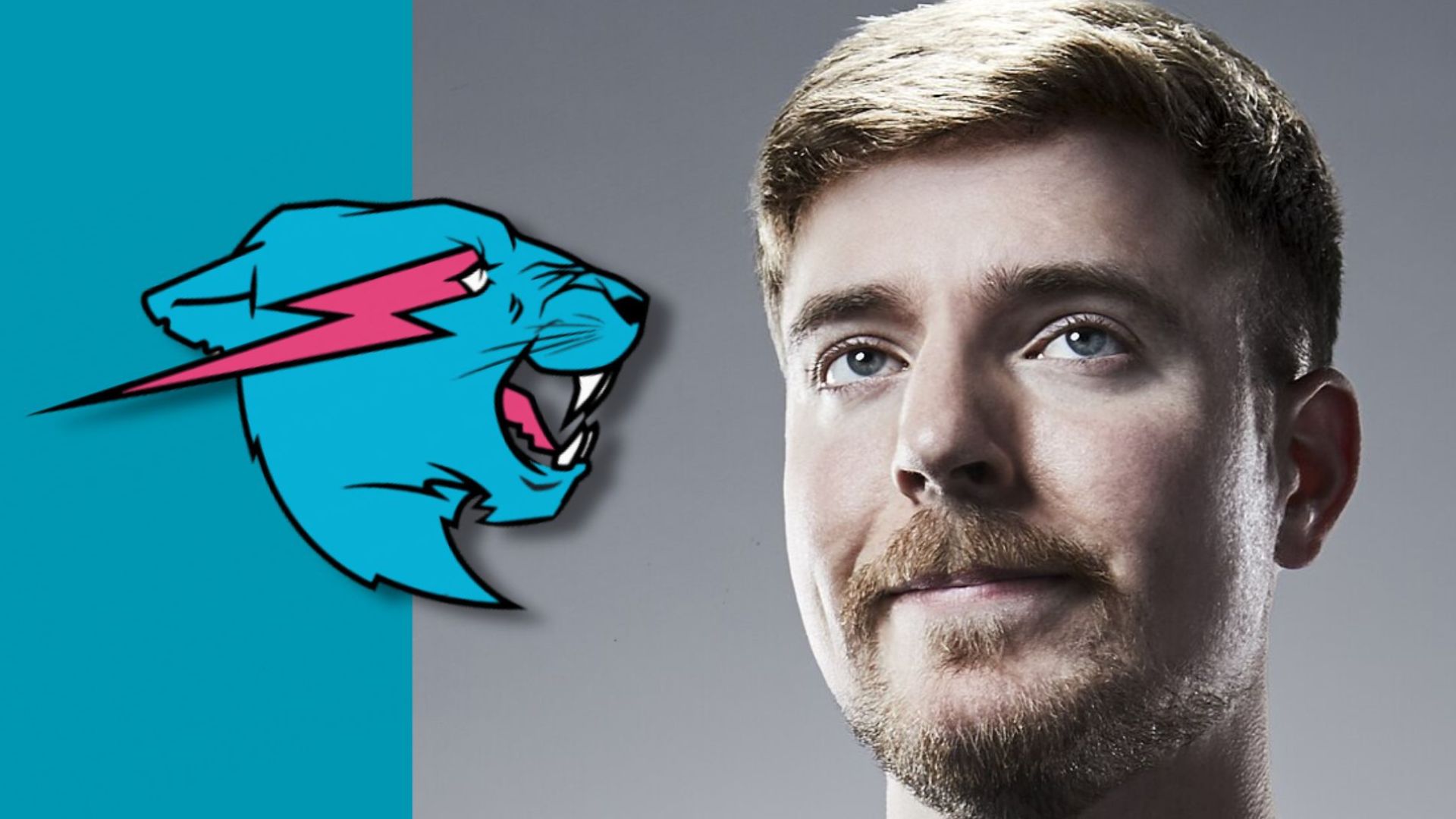 Mrbeast startet Berichten zufolge nächstes Jahr einen Mobilfunkdienst