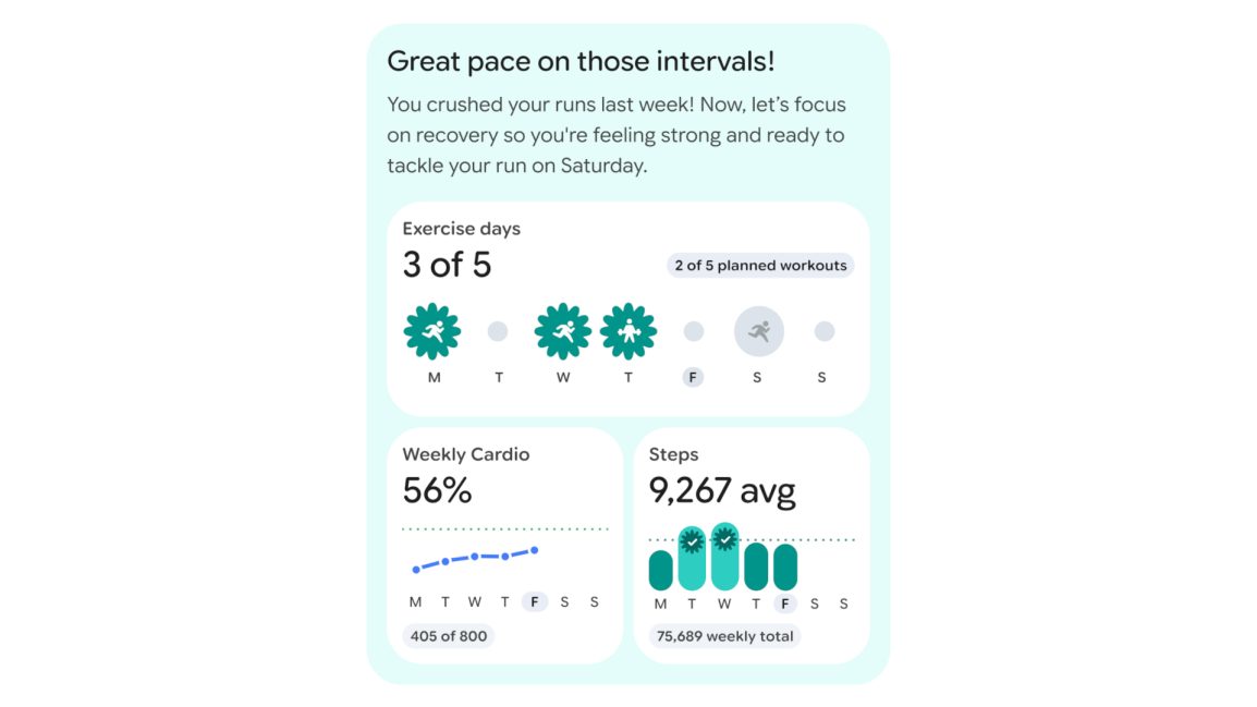 Fitbit Personal Health Coach Vorschau (3)