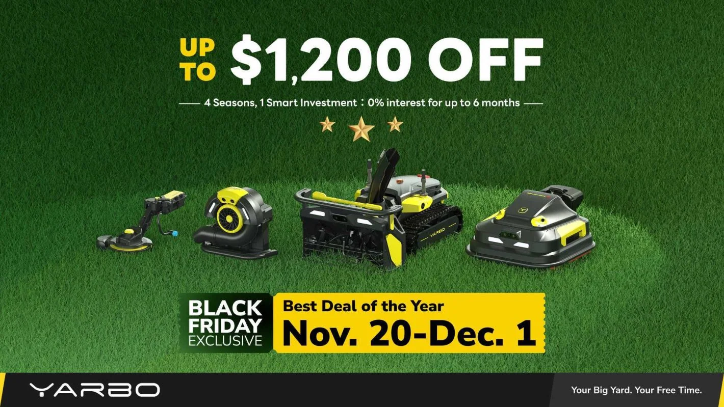 Black-Friday-Angebot