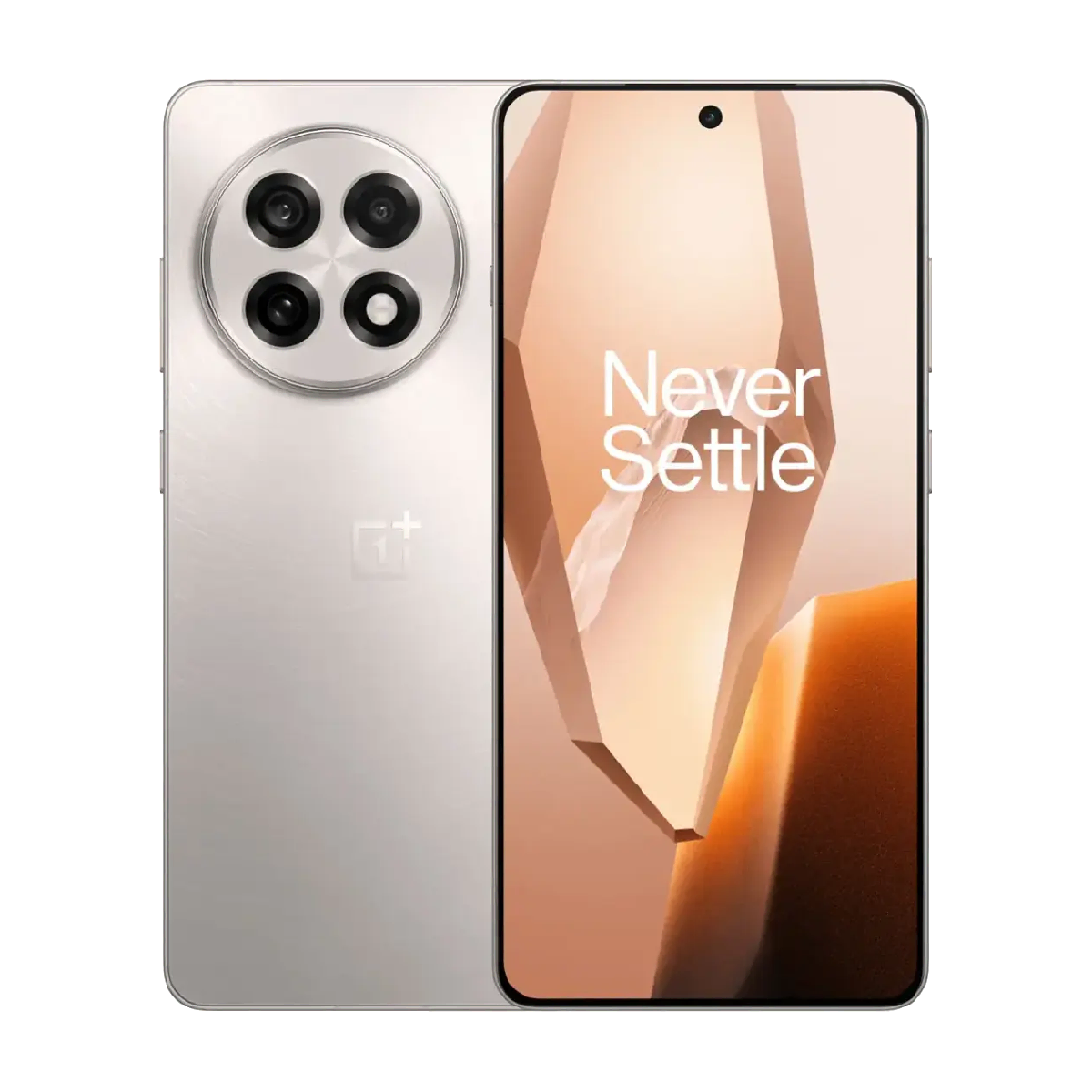 OnePlus 13R