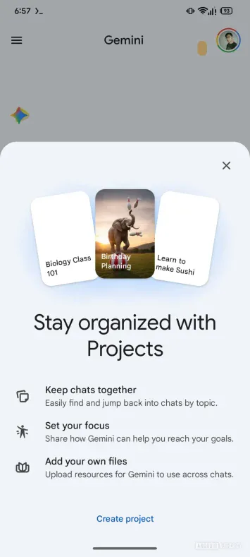 Google Gemini Projects-Tool – erster Blick auf Leak 1