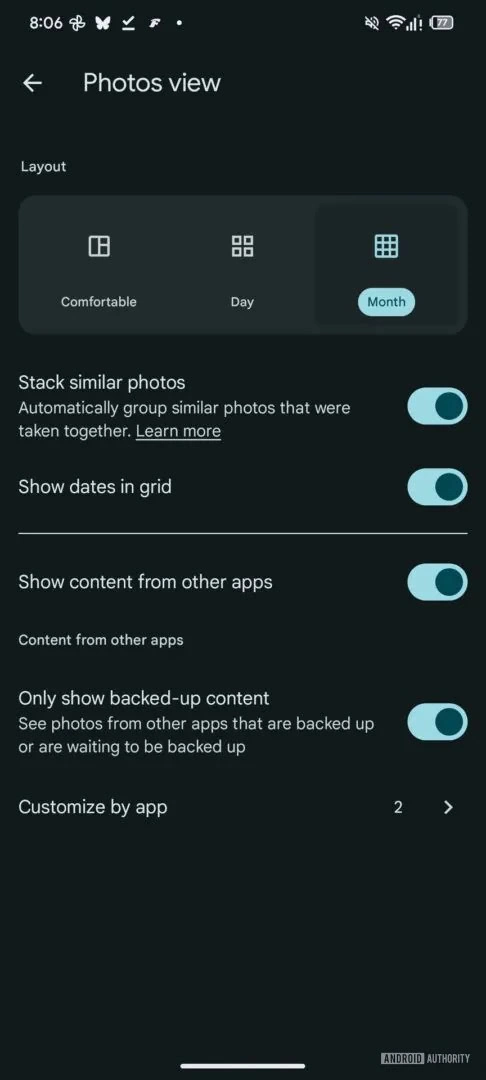 Google Fotos-Rasteransicht 2
