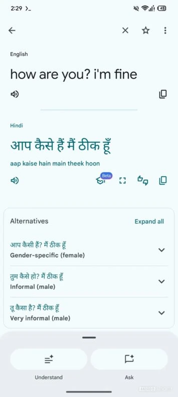 Google Translate-Alternativen 7