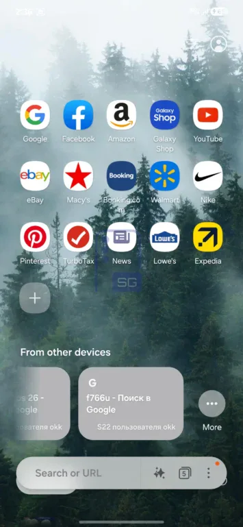 One UI 9 Samsung Internet Compact Suchleiste 1