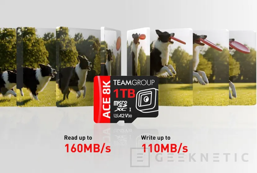 Geeknetic Die neue microSDXC ACE 8K von Team Group kommt mit bis zu 1 TB Kapazität, 160 MB/s Leseleistung und lebenslanger Garantie 3