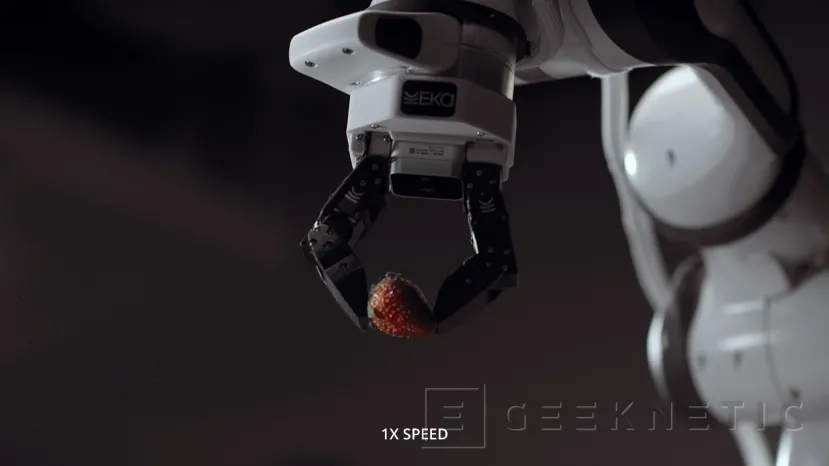 Geeknetic Así es el robot de Eka Robotics capaz de coger 1.500 tipos de objetivos distintos sin romper ni uno solo 2
