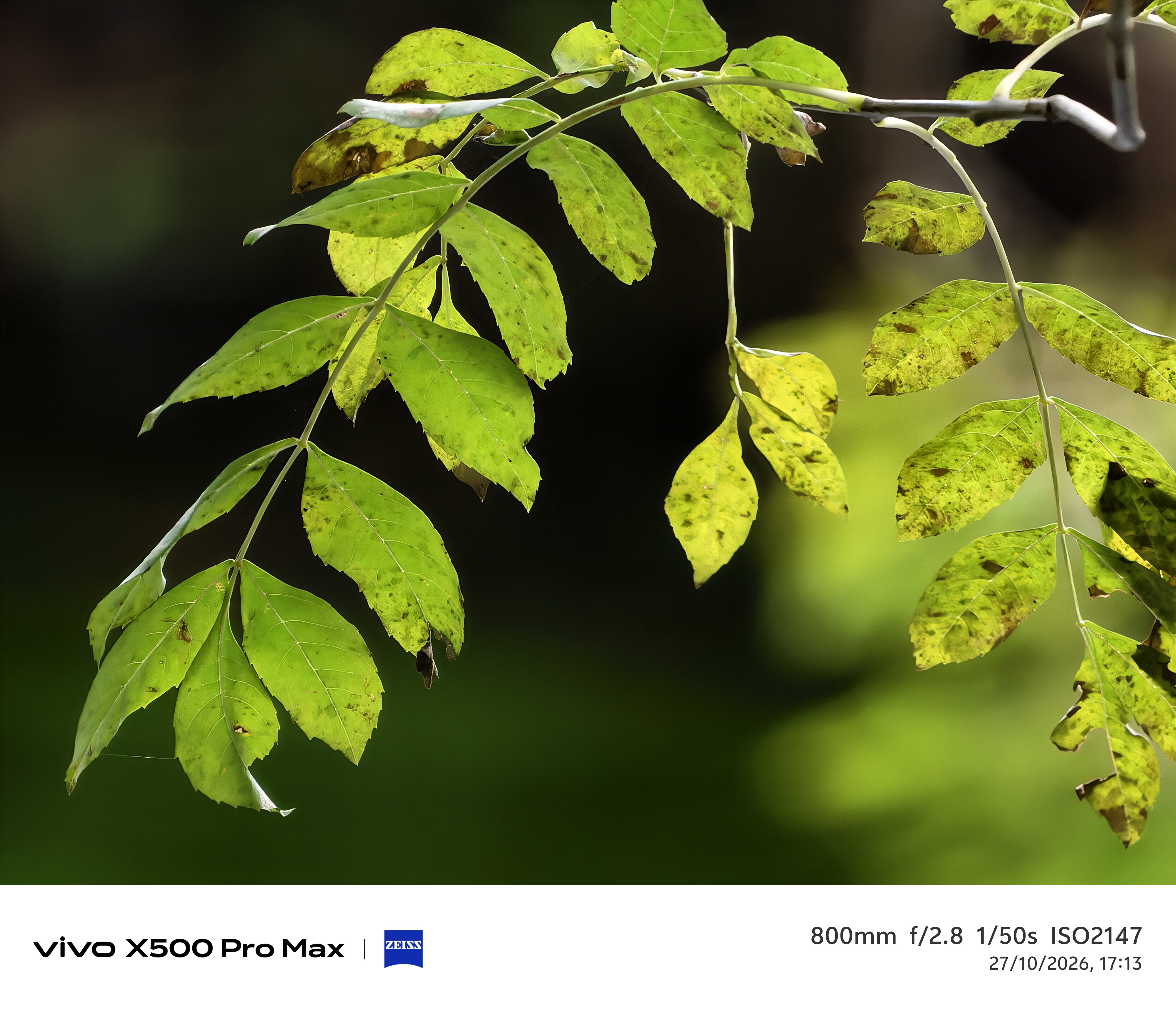Geeknetic Vivo X500 Pro Max Review: ein Kraftpaket in der Fotografie mit austauschbaren Zeiss-Teleobjektiven, das die Mobilkamera auf ein neues Level hebt