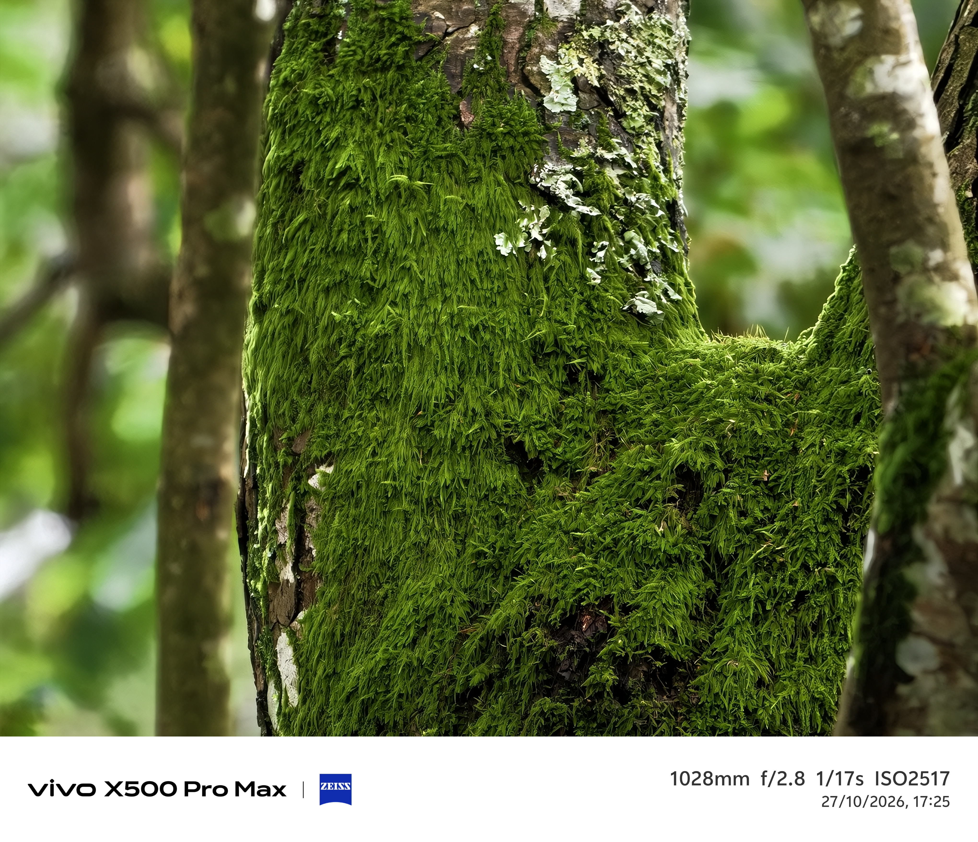 Geeknetic Vivo X500 Pro Max Review: ein Kraftpaket in der Fotografie mit austauschbaren Zeiss-Teleobjektiven, das die Mobilkamera auf ein neues Level hebt