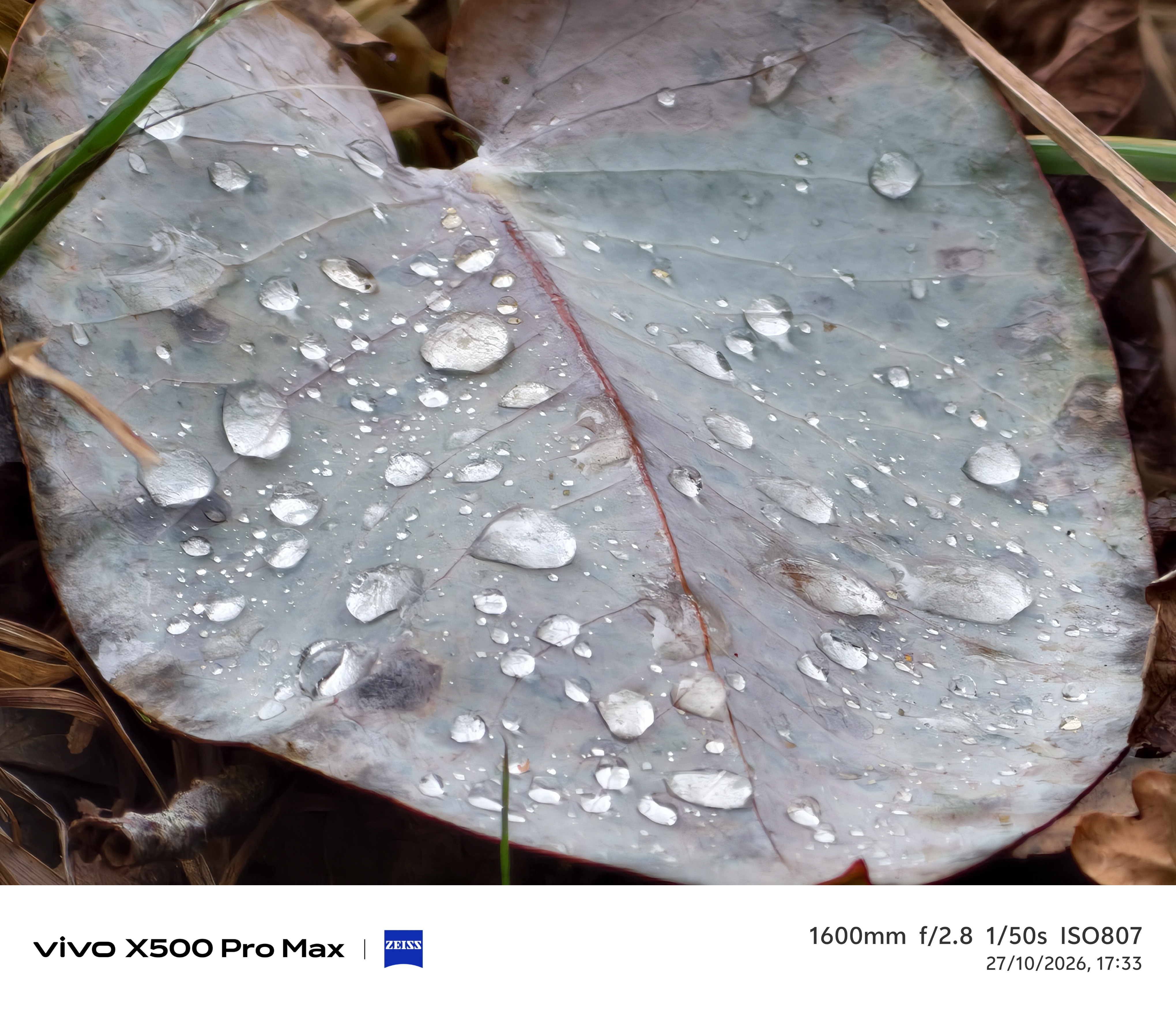 Geeknetic Vivo X500 Pro Max Review: ein Kraftpaket in der Fotografie mit austauschbaren Zeiss-Teleobjektiven, das die Mobilkamera auf ein neues Level hebt