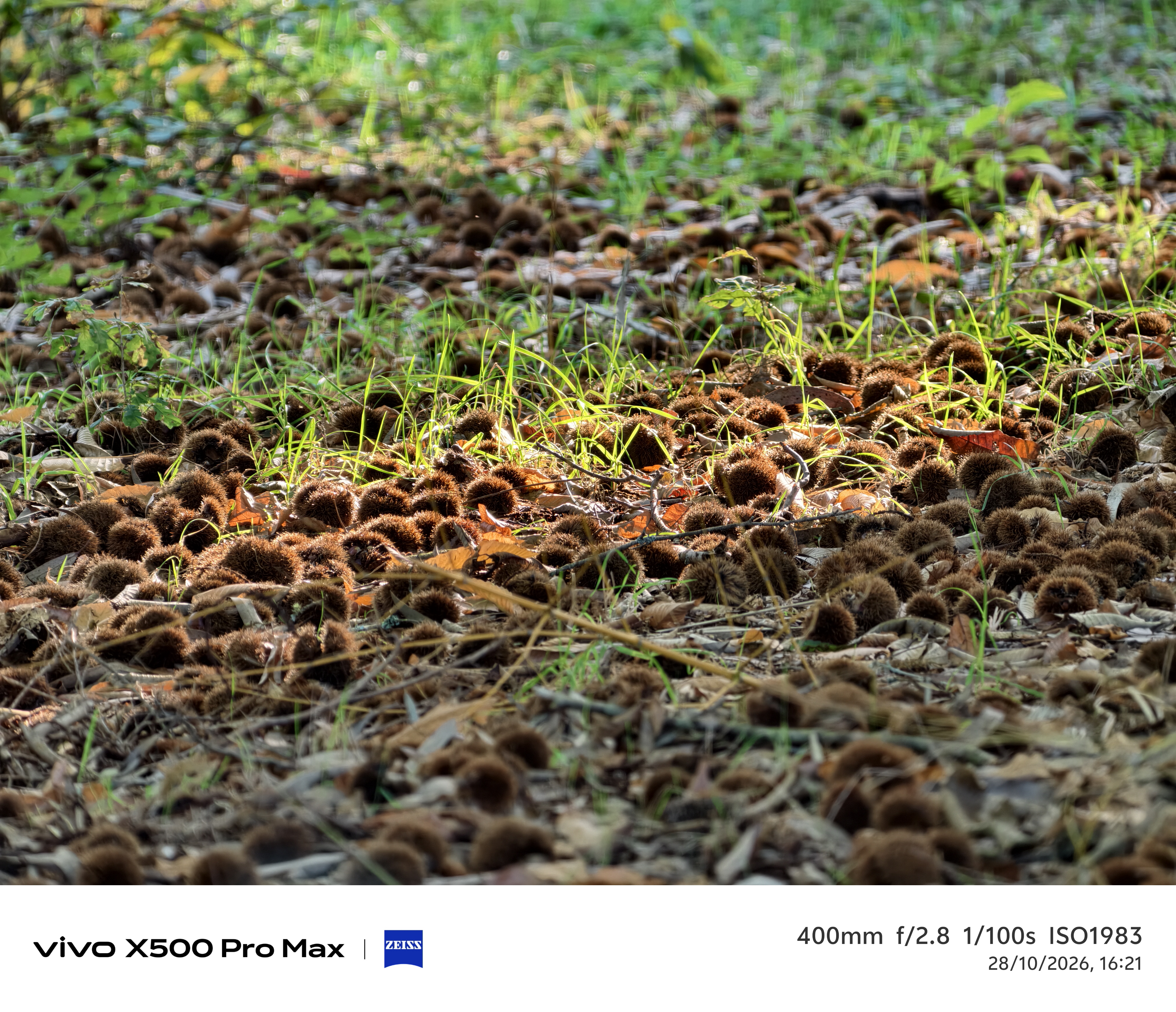 Geeknetic Vivo X500 Pro Max Review: ein Kraftpaket in der Fotografie mit austauschbaren Zeiss-Teleobjektiven, das die Mobilkamera auf ein neues Level hebt