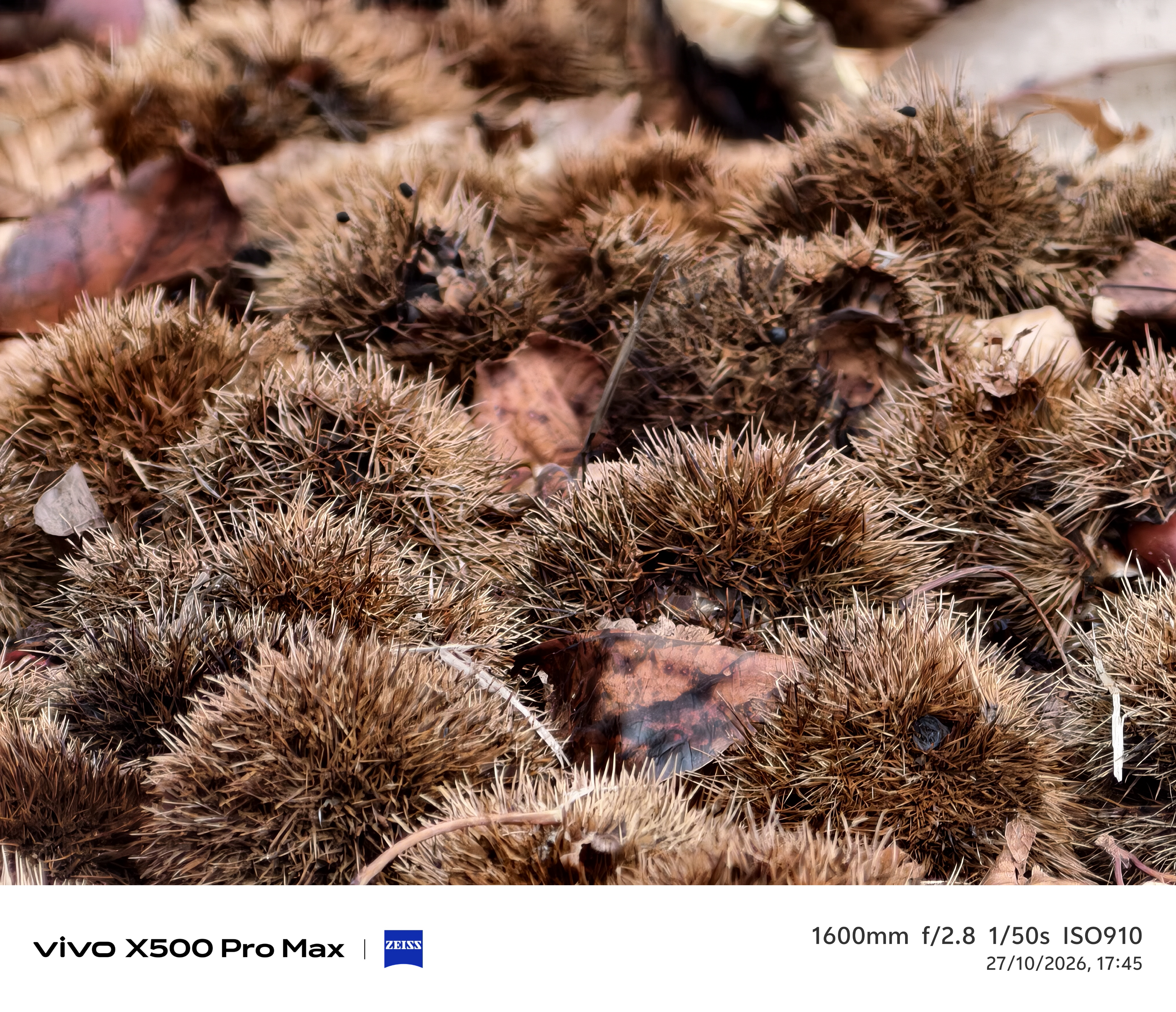 Geeknetic Vivo X500 Pro Max Review: ein Kraftpaket in der Fotografie mit austauschbaren Zeiss-Teleobjektiven, das die Mobilkamera auf ein neues Level hebt