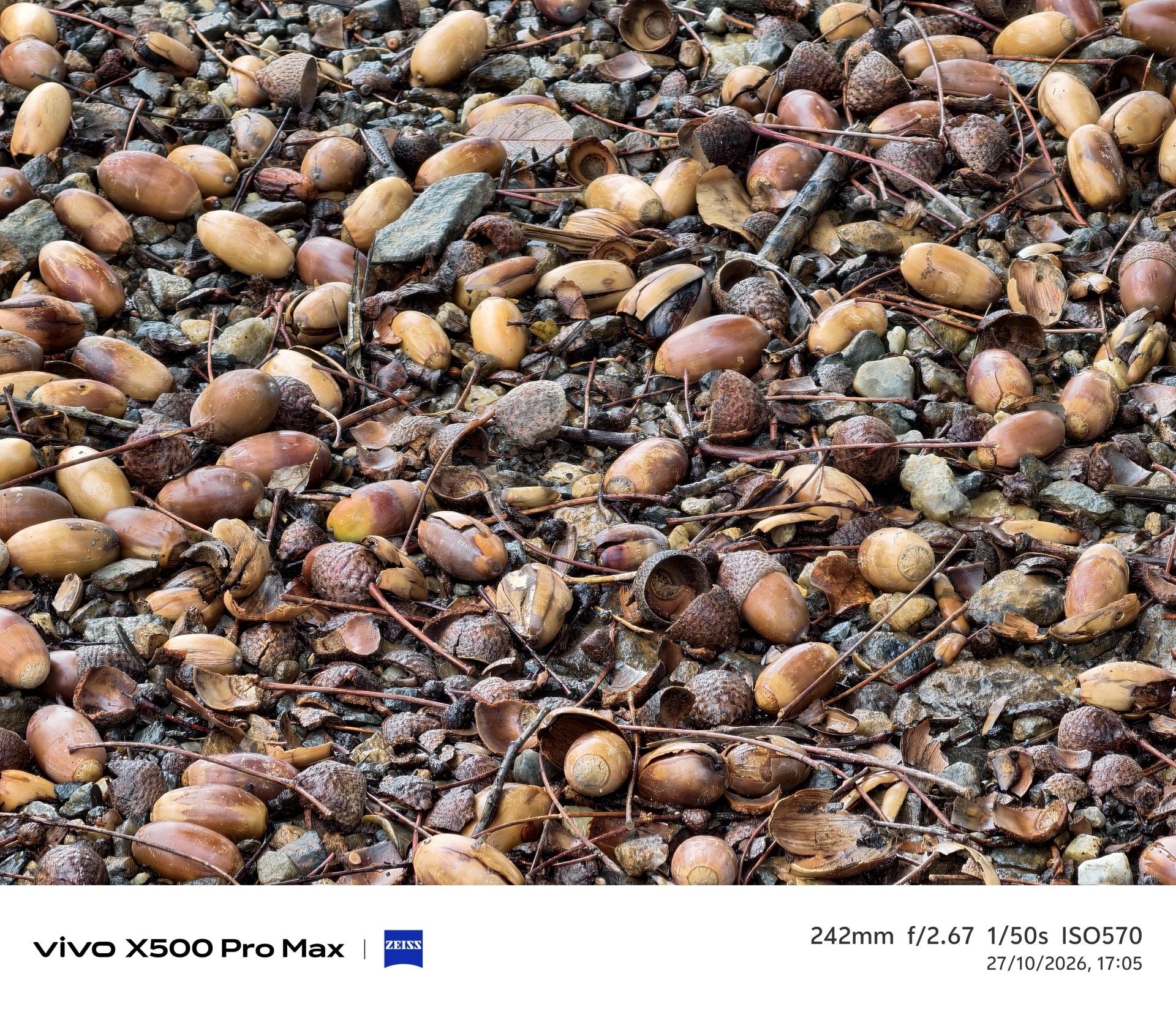 Geeknetic Vivo X500 Pro Max Review: ein Kraftpaket in der Fotografie mit austauschbaren Zeiss-Teleobjektiven, das die Mobilkamera auf ein neues Level hebt