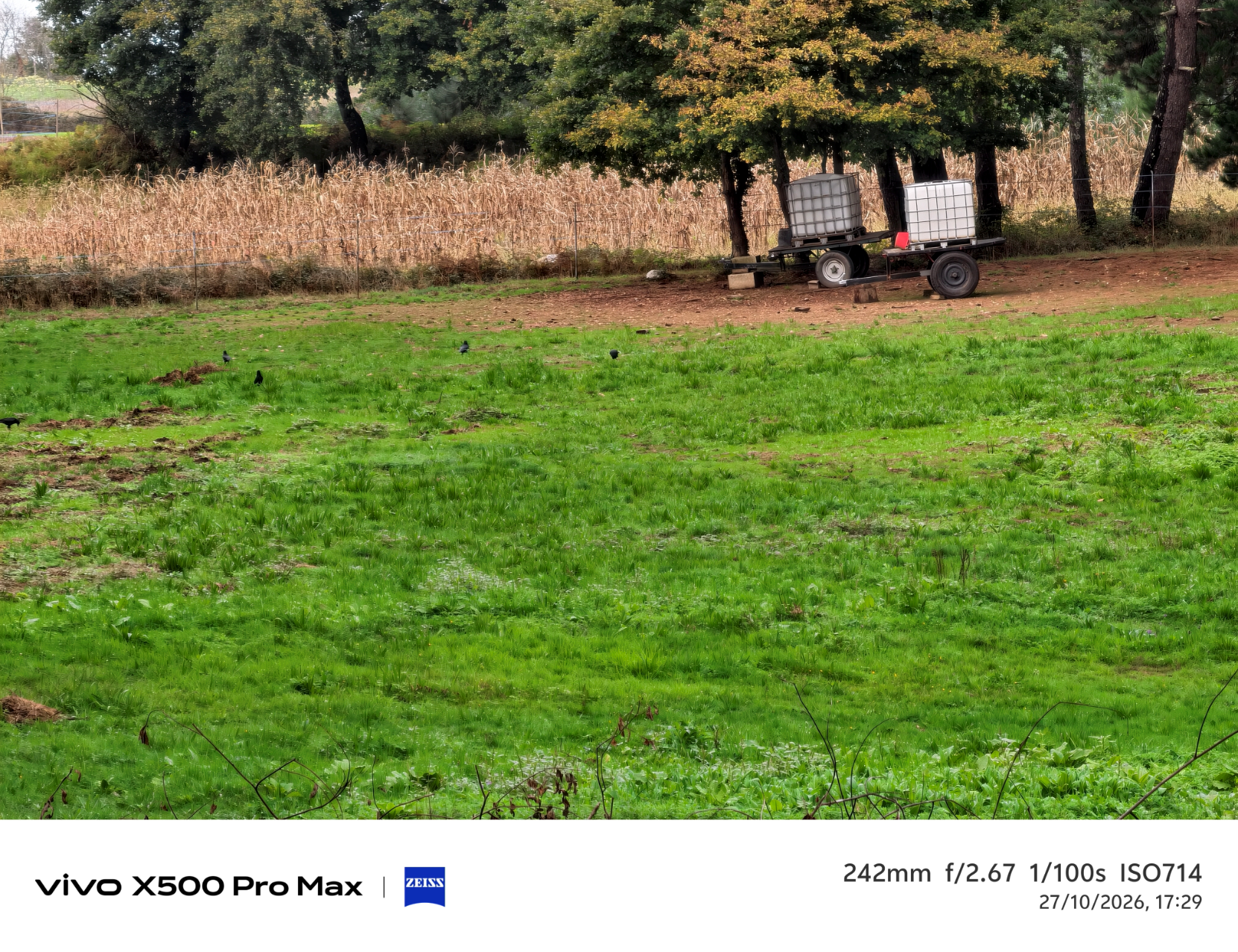 Geeknetic Vivo X500 Pro Max Review: ein Kraftpaket in der Fotografie mit austauschbaren Zeiss-Teleobjektiven, das die Mobilkamera auf ein neues Level hebt