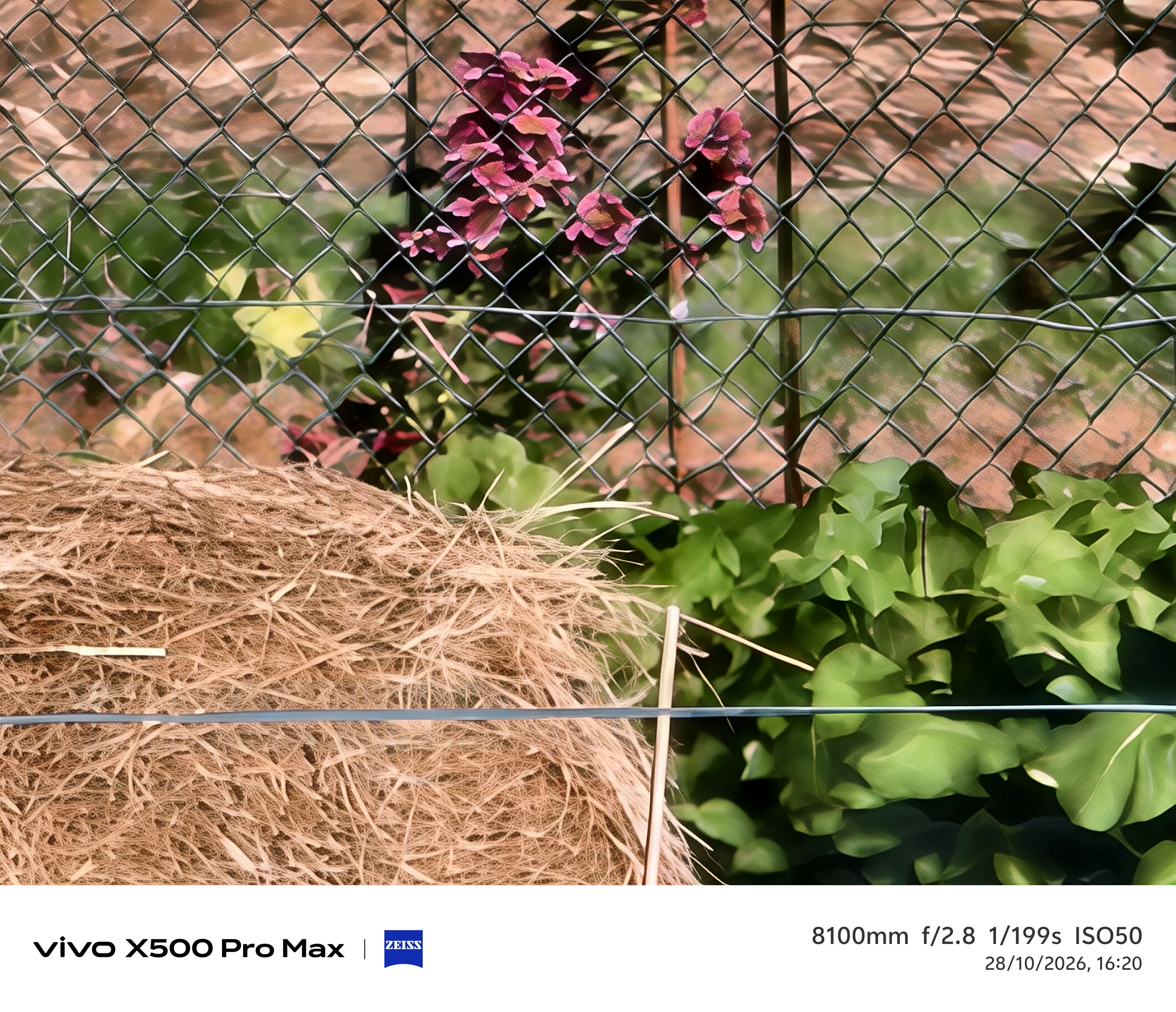Geeknetic Vivo X500 Pro Max Review: ein Kraftpaket in der Fotografie mit austauschbaren Zeiss-Teleobjektiven, das die Mobilkamera auf ein neues Level hebt